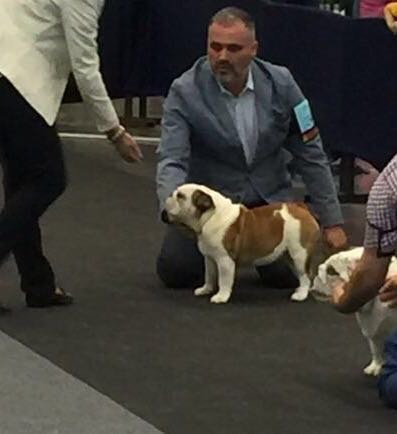 Exposición Internacional de Tenerife