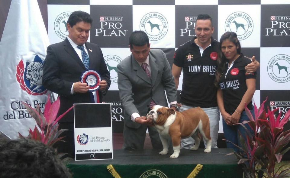 Especializada kennel club (Perú)