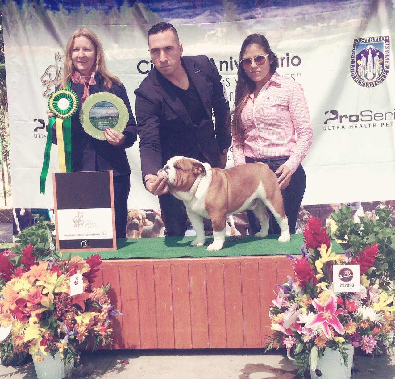 Exposición internacional Arequipa (Perú)