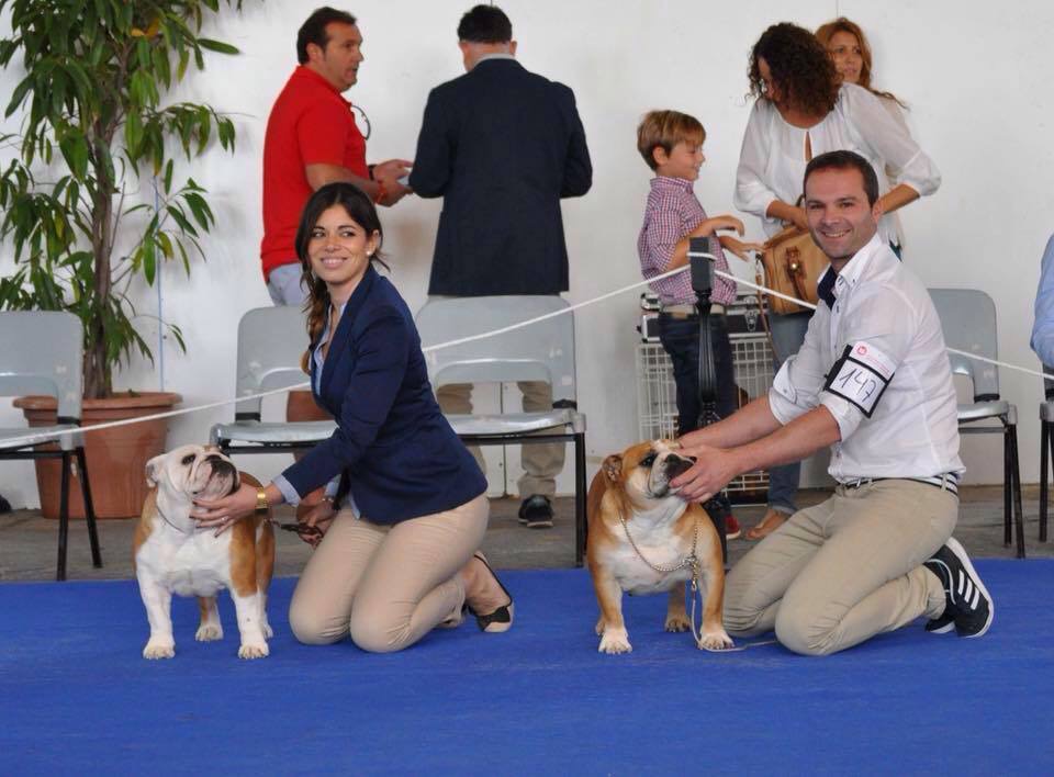 Exposición internacional de Jerez