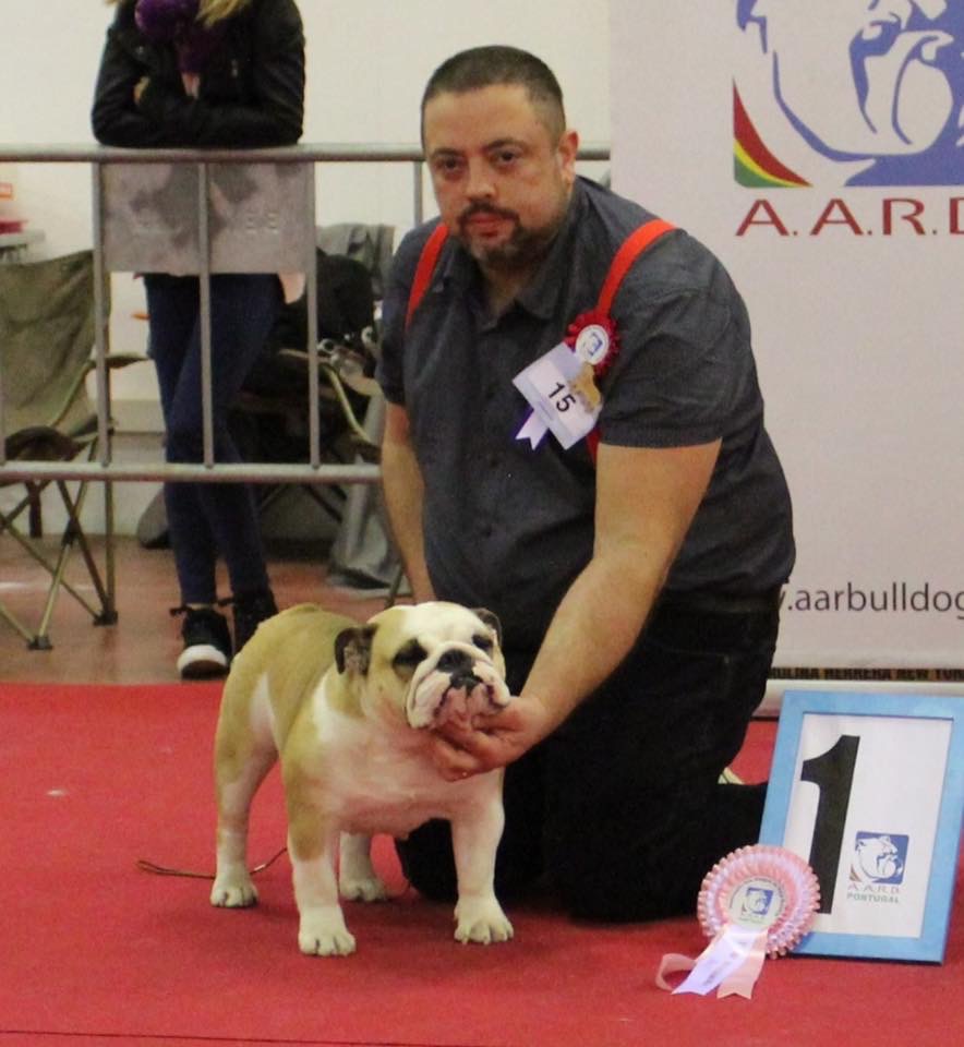 Exposición internacional de badajoz